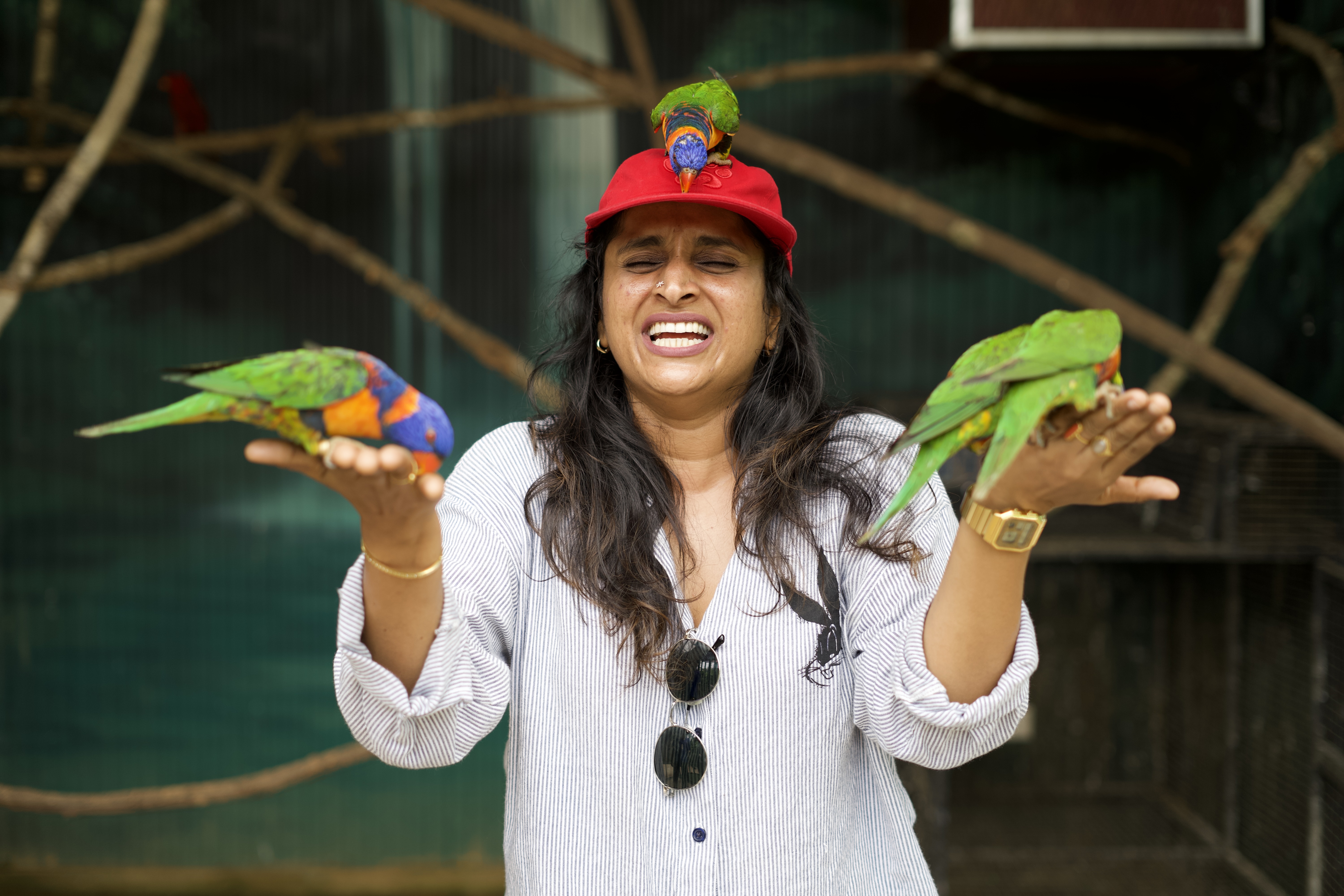 Birds Experience